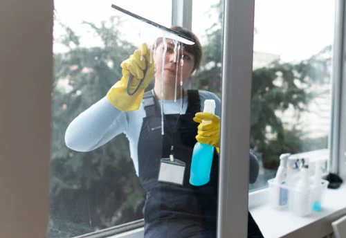 Nettoyage de vitres intérieures et extérieures à Entrages
